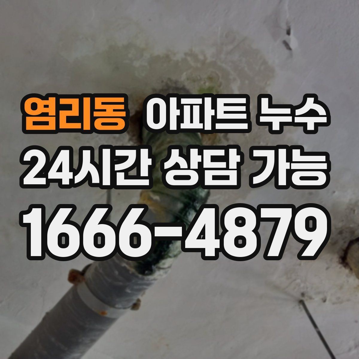 염리동 아파트 누수 세탁실 다용도실 물기 반복될 때