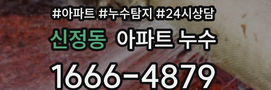 신정동 누수탐지