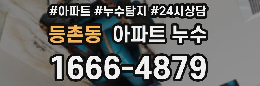 등촌동 누수탐지