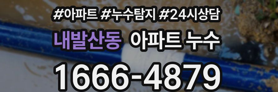 내발산동 누수탐지