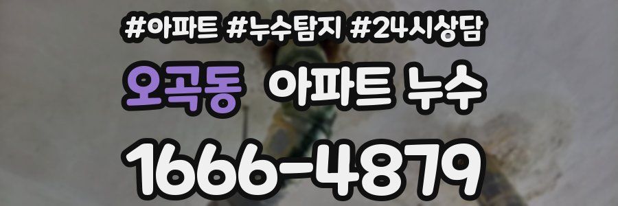 오곡동 누수탐지