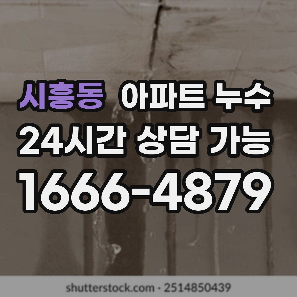 시흥동 아파트 누수 마루 틈에서 냄새가 올라올 때