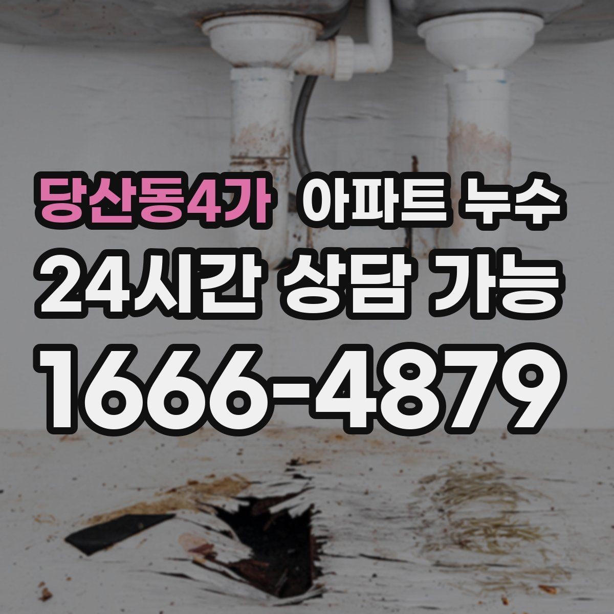 당산동4가 아파트 누수 천장 모서리 점이 번질 때