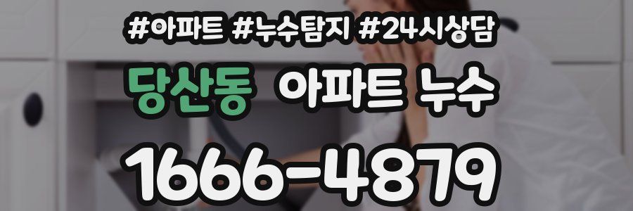 당산동 누수탐지