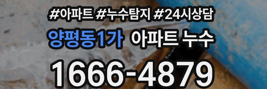 양평동1가 누수탐지