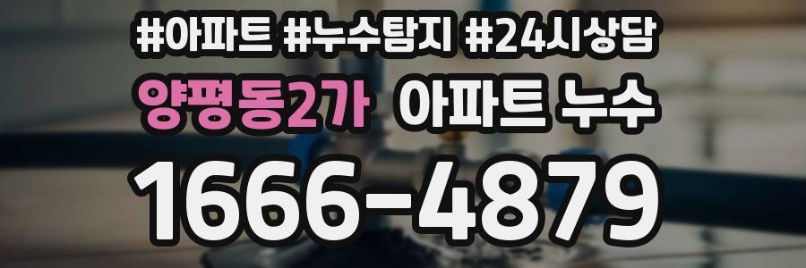 양평동2가 누수탐지