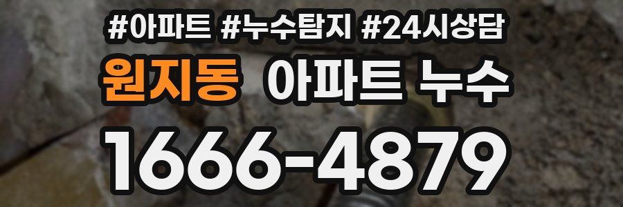 원지동 누수탐지