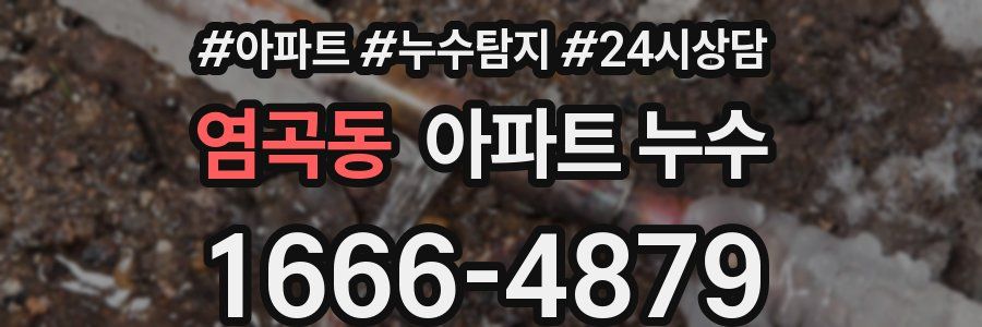 염곡동 누수탐지