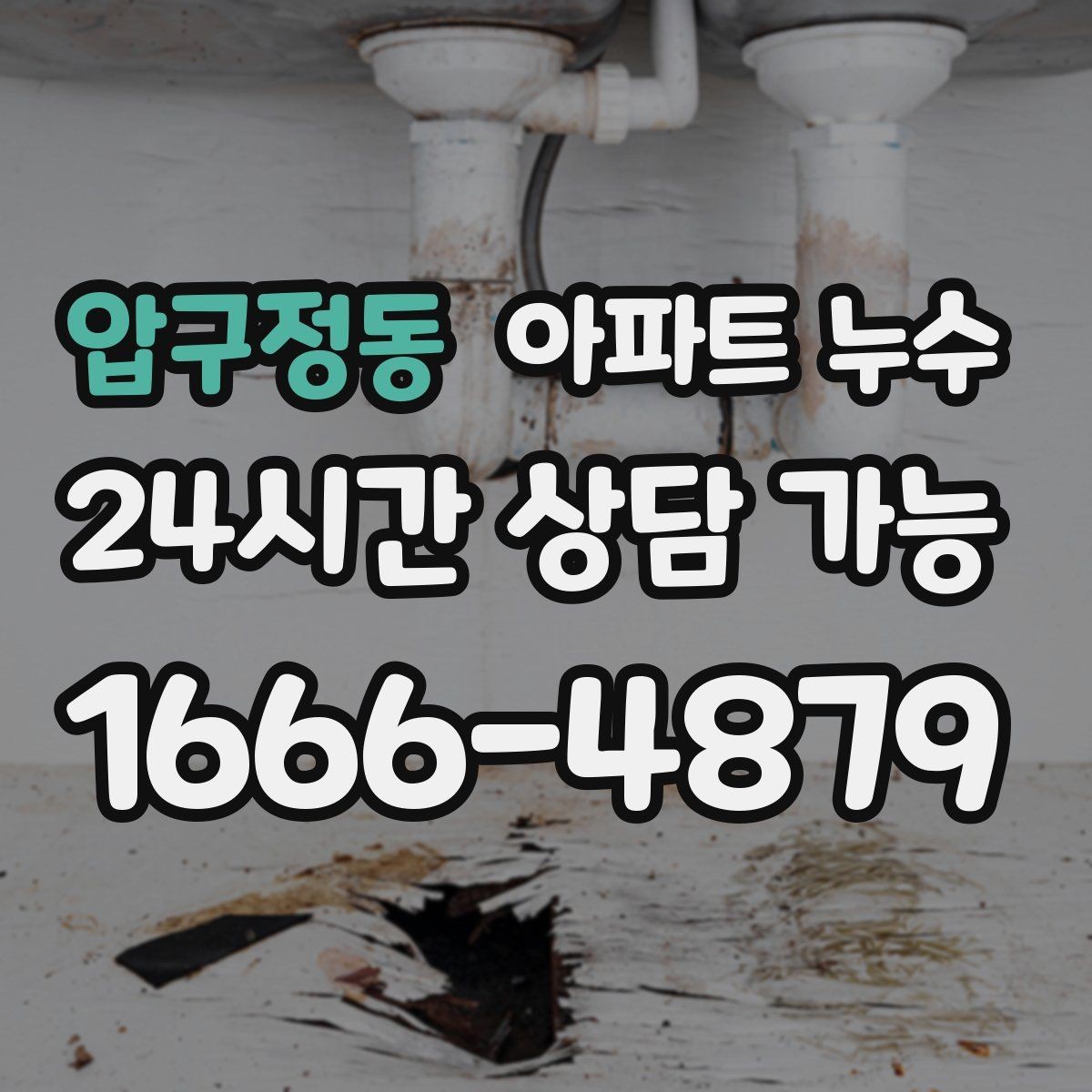 압구정동 아파트 누수 욕실 밖 벽면이 젖을 때 원인 확인