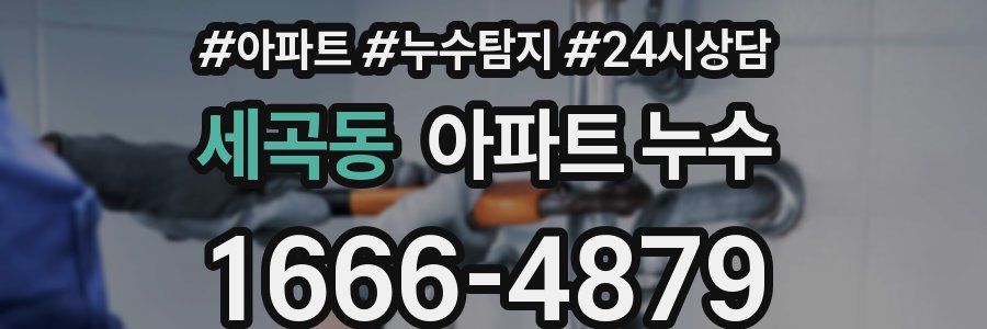 세곡동 누수탐지