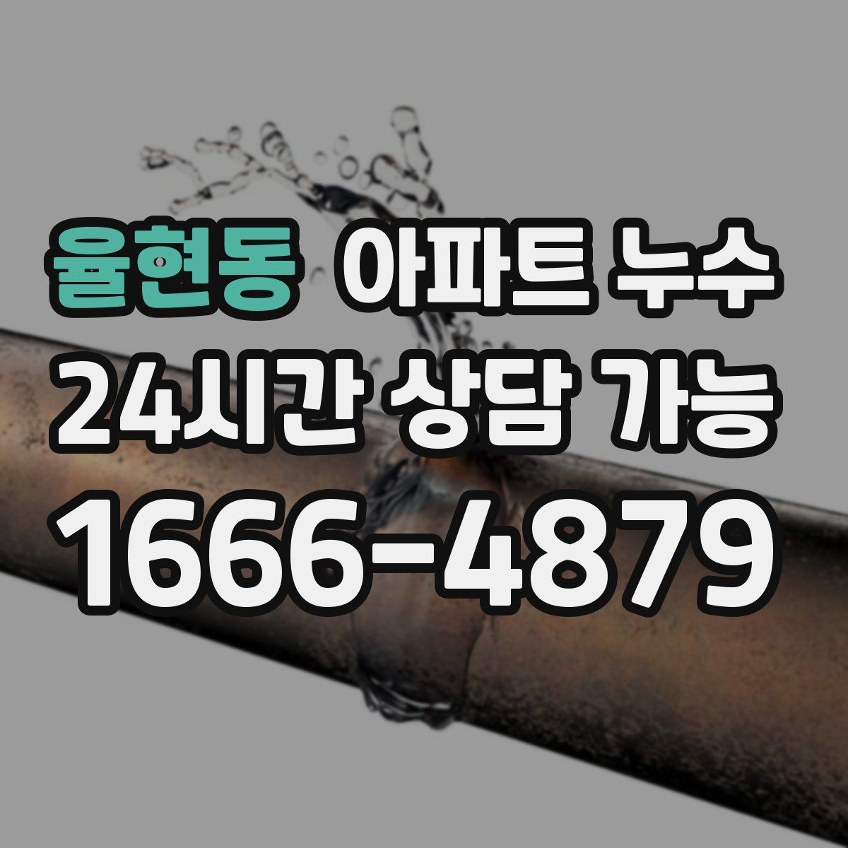 율현동 아파트 누수 관리사무소에 전달하면 좋은 내용