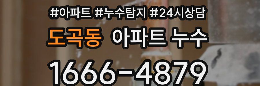 도곡동 누수탐지