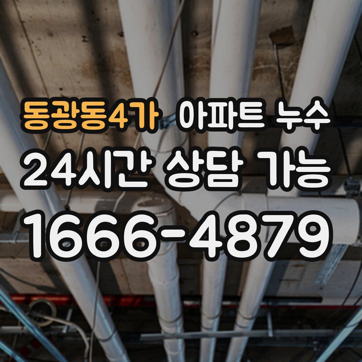 동광동4가 아파트 누수탐지