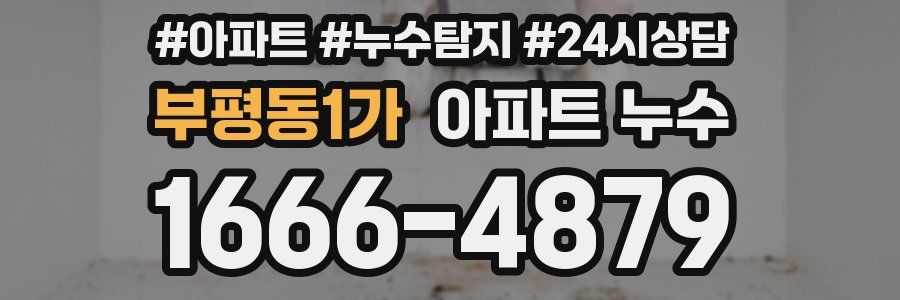 부평동1가 누수탐지