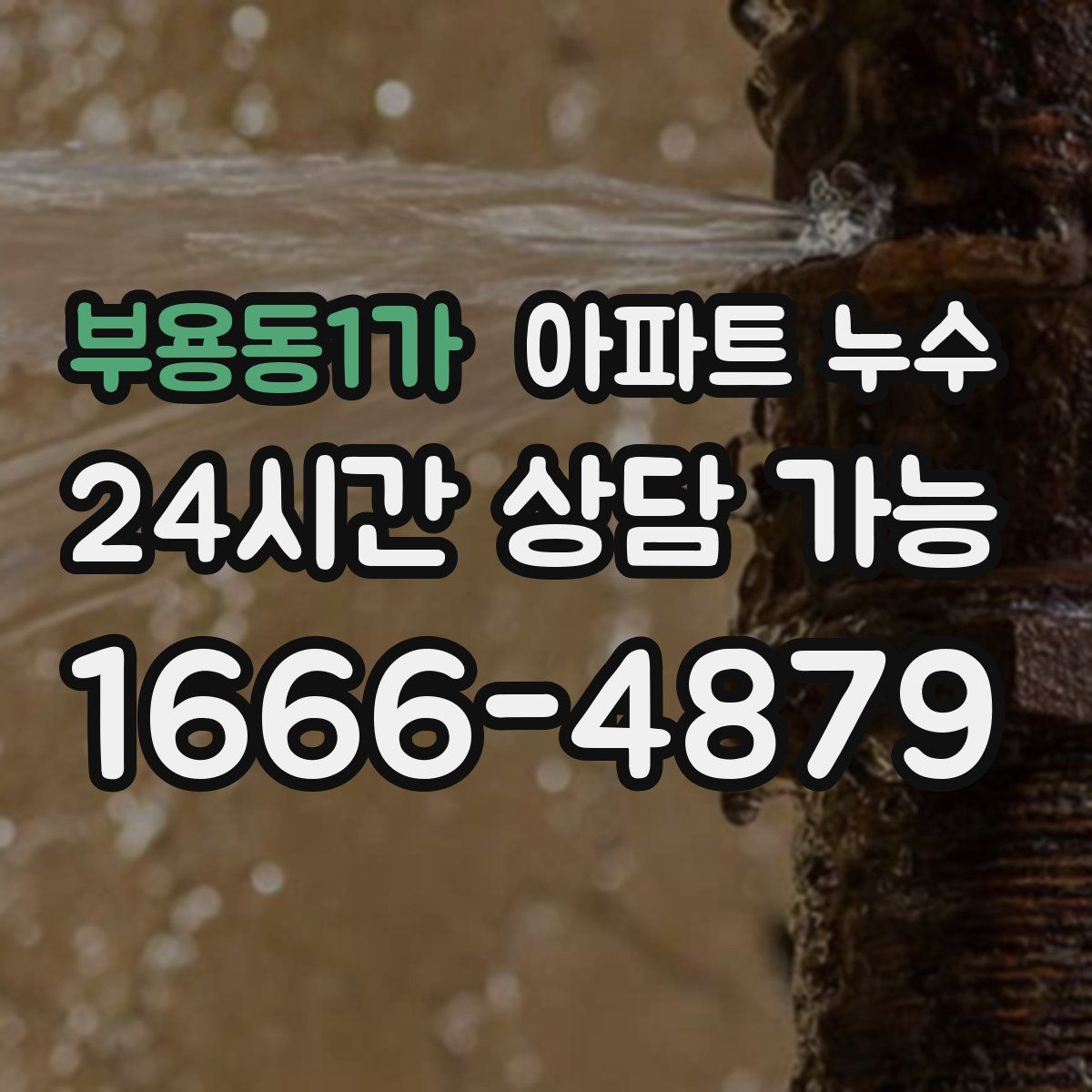 부용동1가 아파트 누수탐지