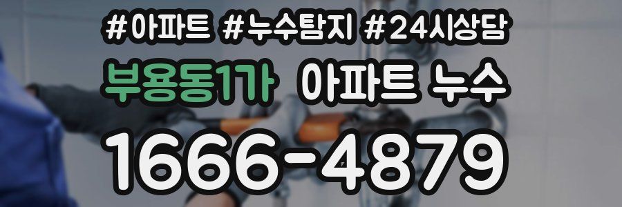 부용동1가 누수탐지