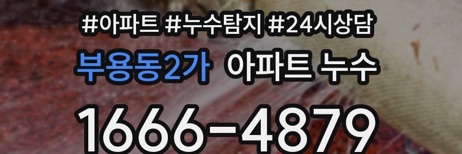 부용동2가 누수탐지