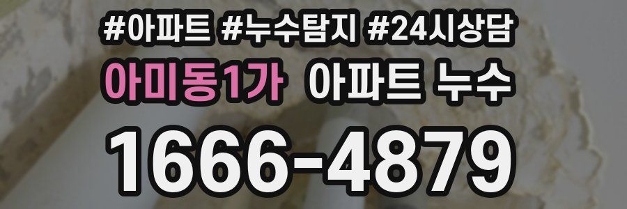 아미동1가 누수탐지