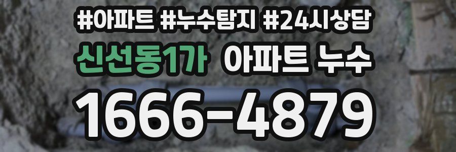 신선동1가 누수탐지