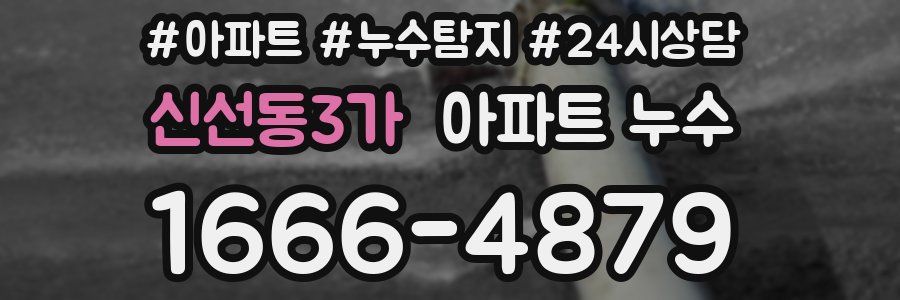 신선동3가 누수탐지