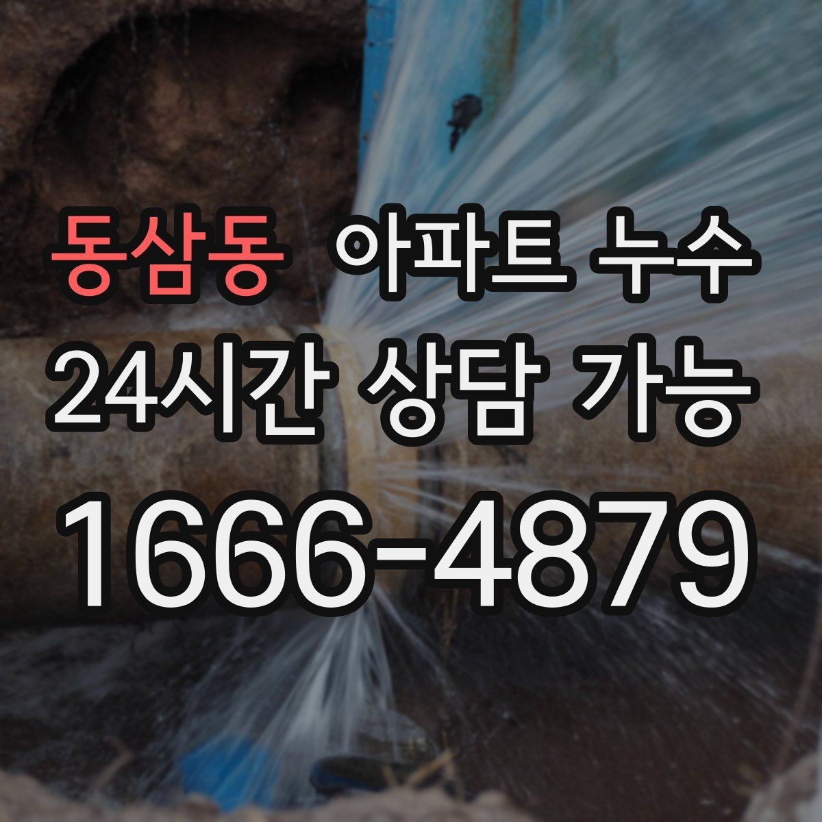 동삼동 아파트 누수 이사 직후 발견되면 먼저 할 일