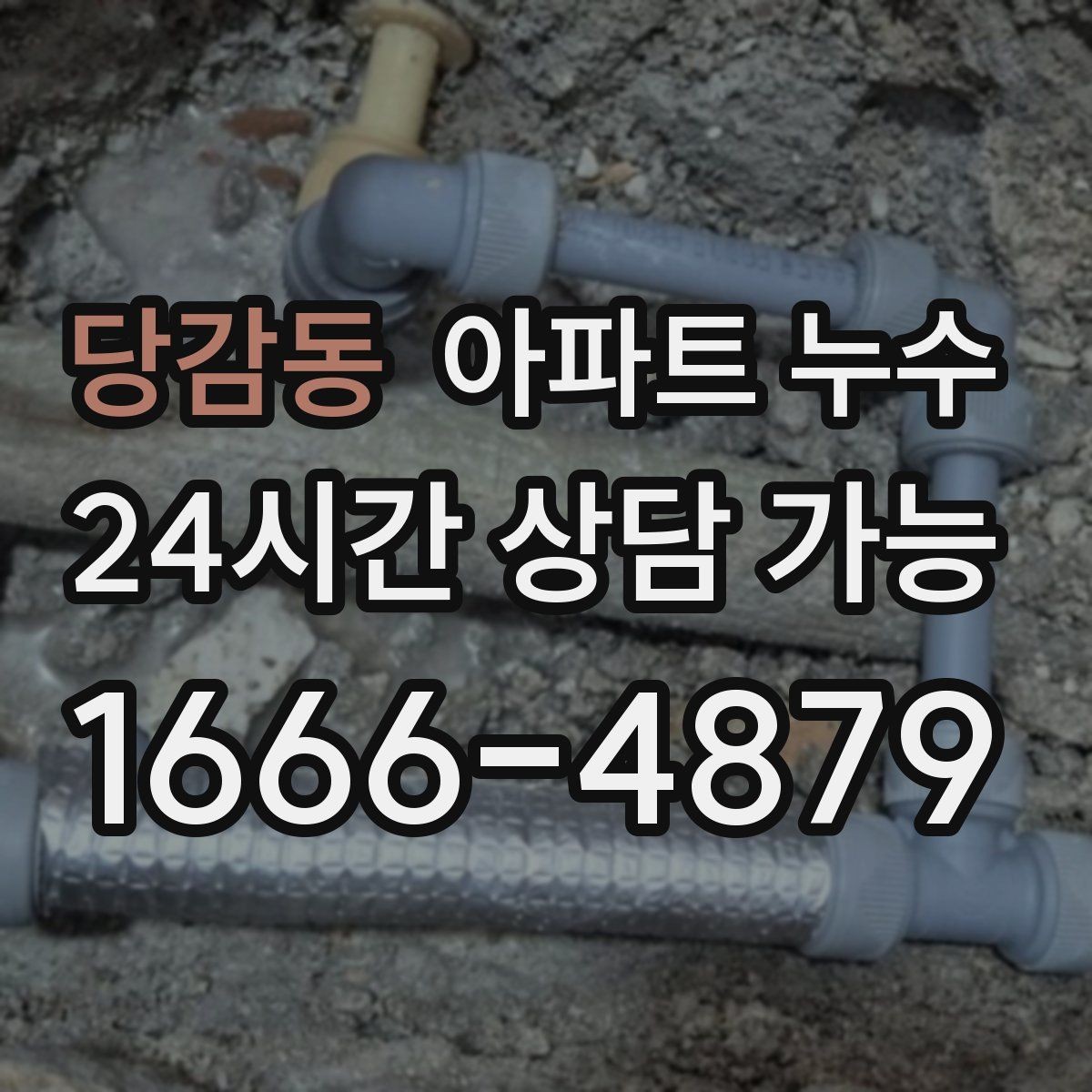 당감동 아파트 누수 아래층 천장 물자국 보이면 점검 순서부터 정리