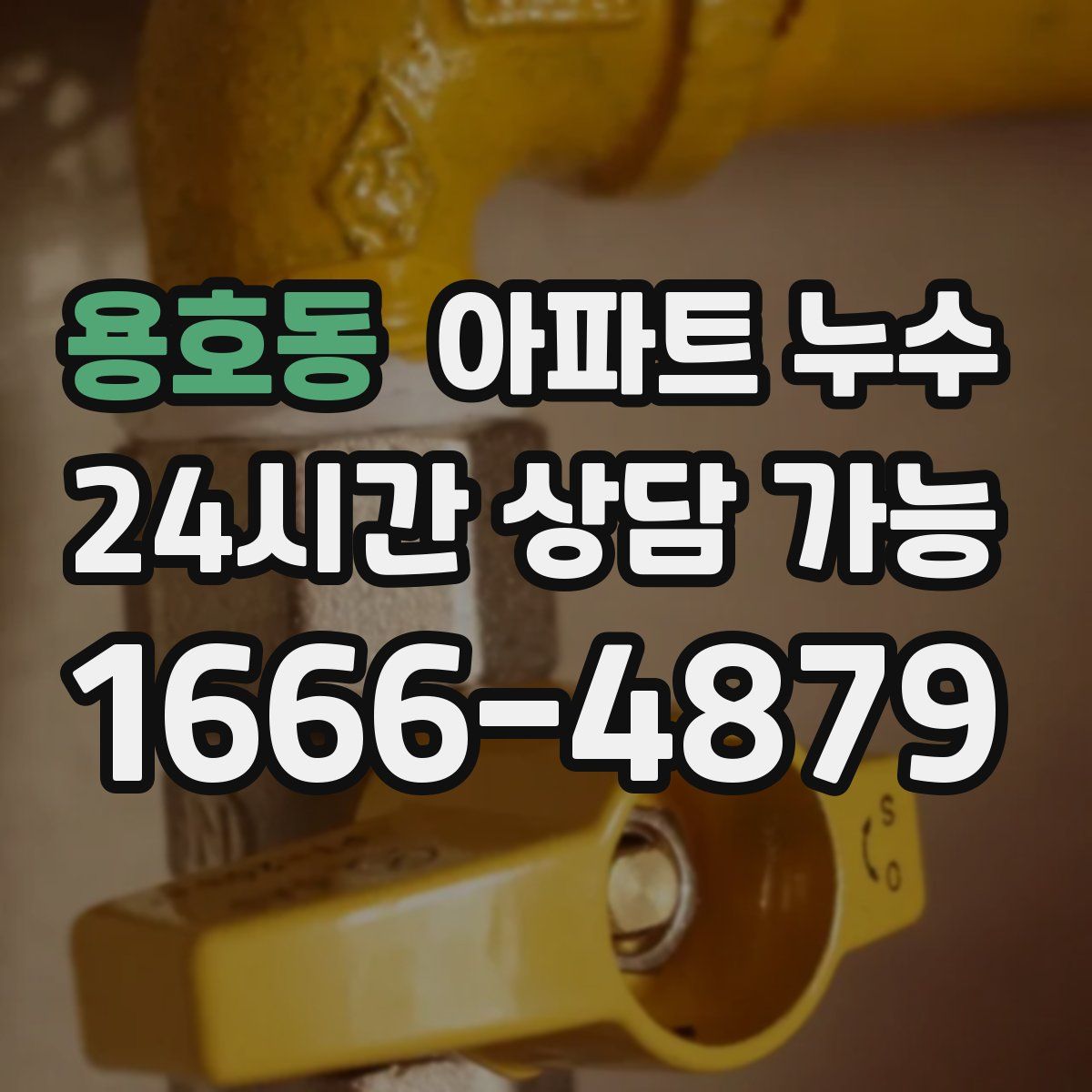 용호동 아파트 누수탐지