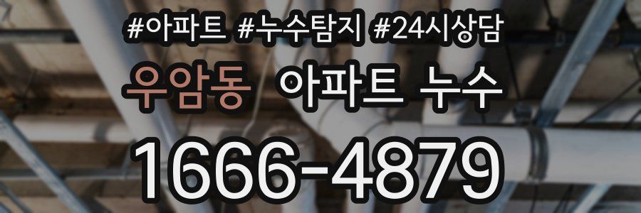 우암동 누수탐지