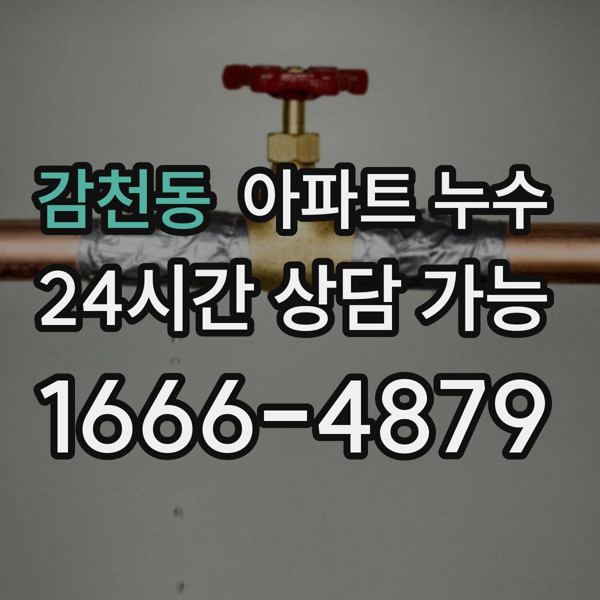 감천동 아파트 누수 세탁실 배수 주변 냄새가 올라올 때