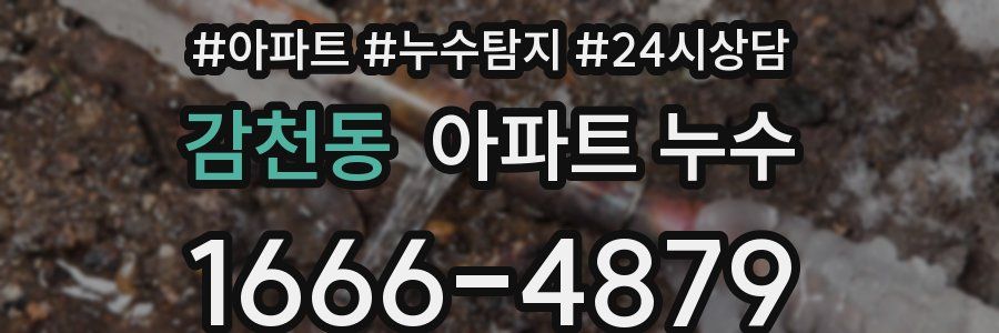 감천동 누수탐지