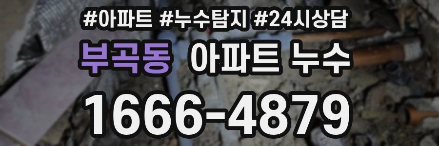 부곡동 누수탐지