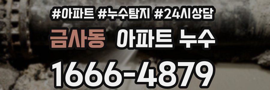 금사동 누수탐지