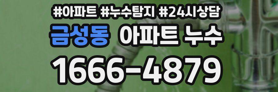 금성동 누수탐지