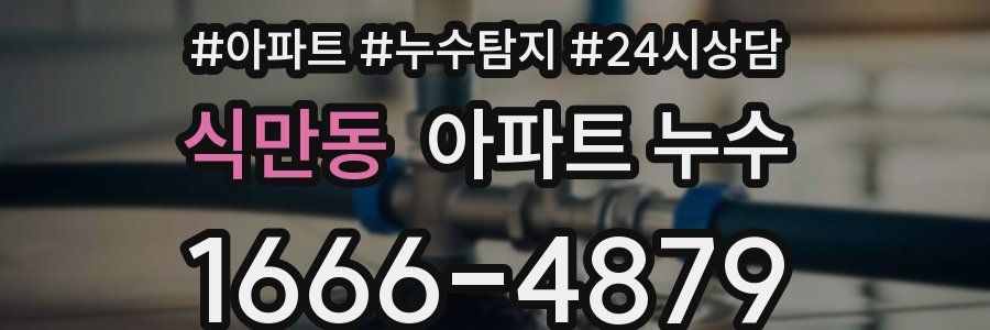 식만동 누수탐지