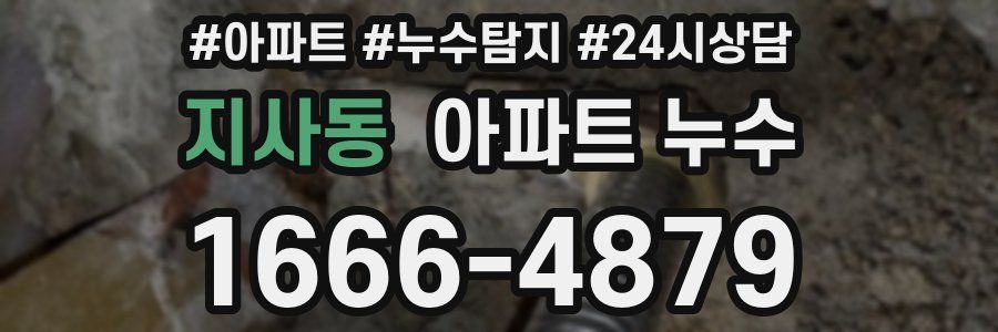 지사동 누수탐지