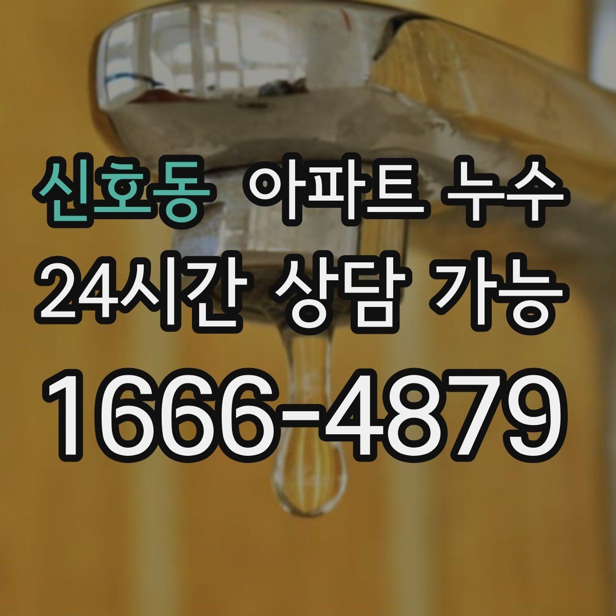 신호동 아파트 누수 세탁실 배수 주변 냄새가 올라올 때