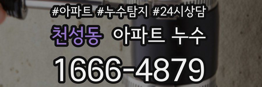 천성동 누수탐지