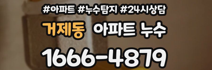 거제동 누수탐지