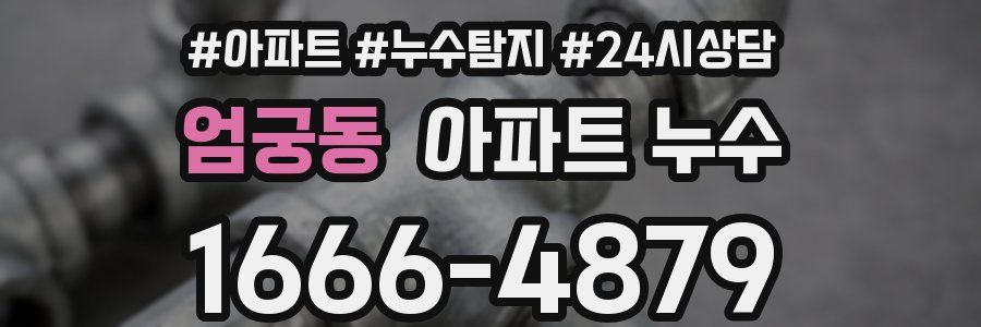 엄궁동 누수탐지