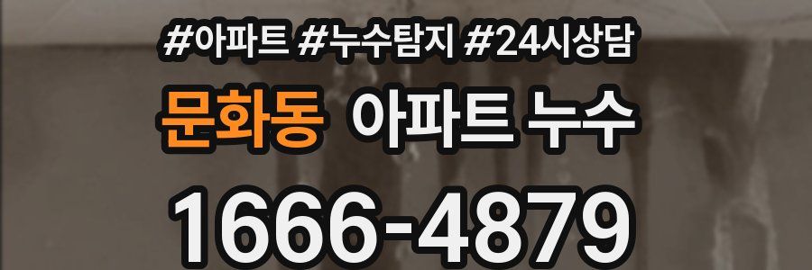 문화동 누수탐지