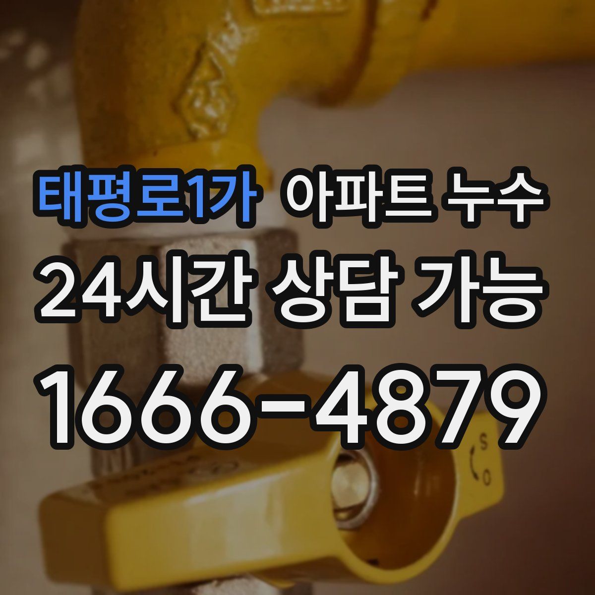 태평로1가 아파트 누수탐지