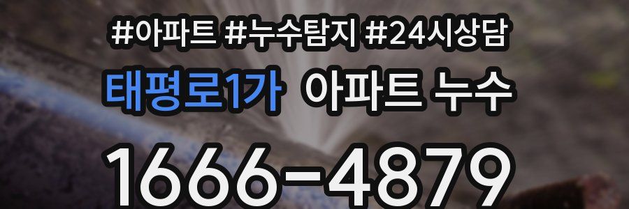 태평로1가 누수탐지