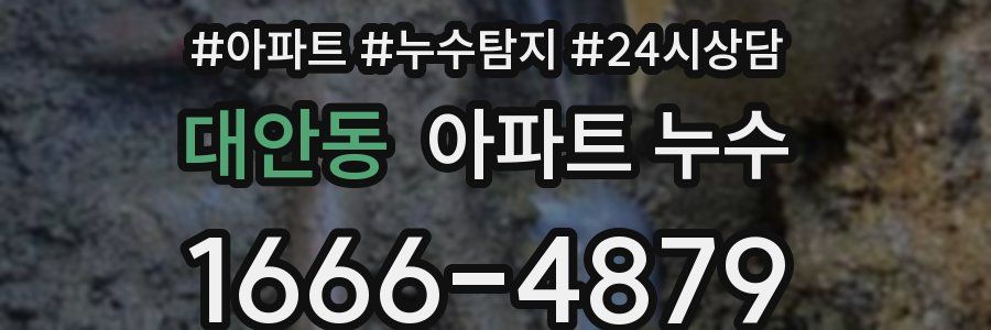 대안동 누수탐지