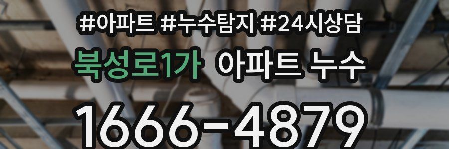 북성로1가 누수탐지