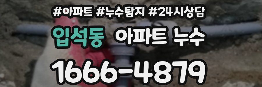 입석동 누수탐지