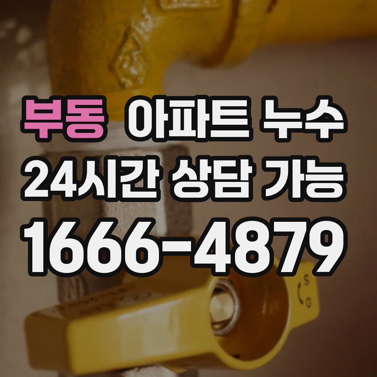 부동 아파트 누수탐지