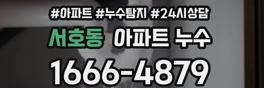 서호동 누수탐지