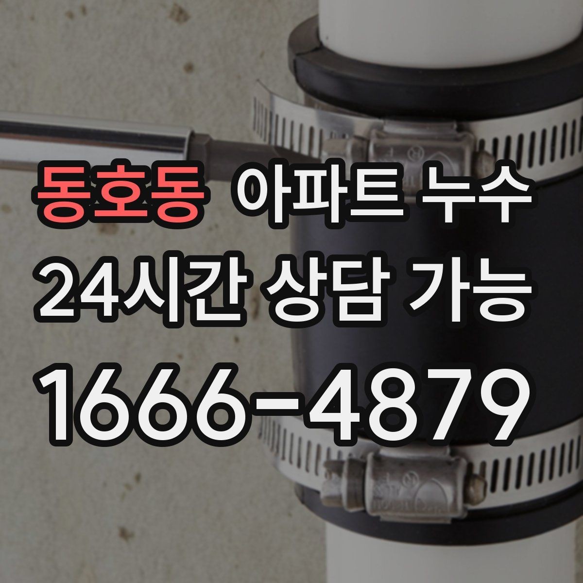 동호동 아파트 누수 세탁기 뒤쪽 벽이 젖을 때 점검