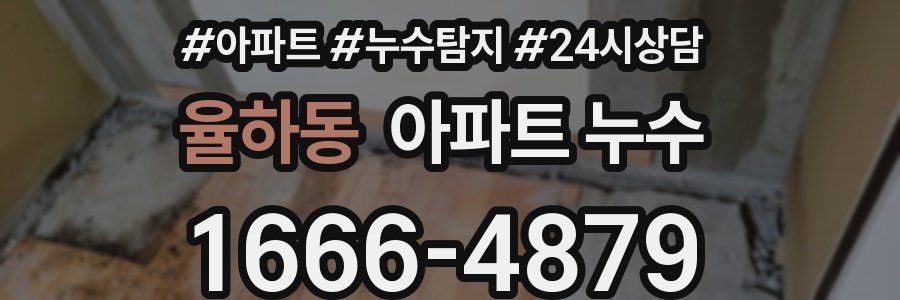 율하동 누수탐지