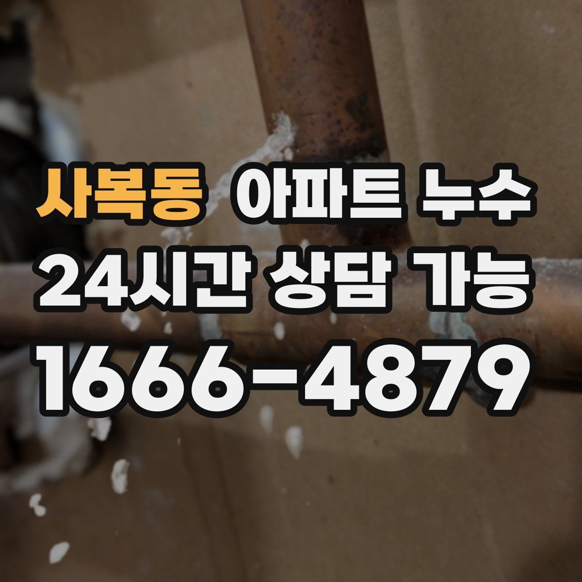 사복동 아파트 누수탐지